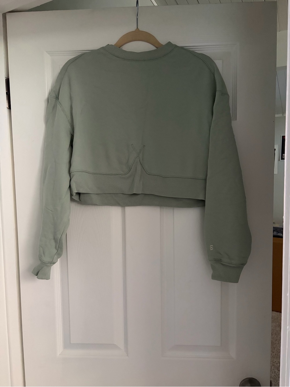Everlane Women's Organic Cotton Cropped Crewneck Sweater in Sage Size S
